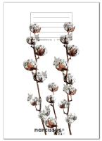 Opakowanie Zeszyt A5/32K kratka PP Fun Cotton (4szt)