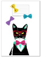 Opakowanie Zeszyt A5/60K kratka PP Fun Cat (4szt)