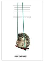 Opakowanie Zeszyt A5/60K kratka PP Fun Swing Away (4szt)