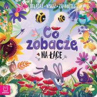 Co zobaczę na łące. Oglądaj, wskaż, zapamiętaj. Autor: Sylwia Kajdana. SmakLiter.pl Okładka książki Co zobaczę na łące. Oglądaj, wskaż, zapamiętaj