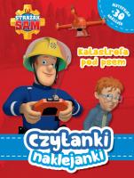 Okładka książki Czytanki naklejanki. Katastrofa pod psem