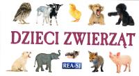Dzieci zwierząt – rozkładanka. Autor: Opracowanie zbiorowe. SmakLiter.pl Okładka książki Dzieci zwierząt – rozkładanka
