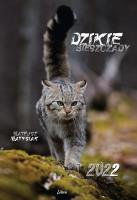 Kalendarz 2022 Dzikie Bieszczady. Autor: Matysiak Mateusz. SmakLiter.pl Okładka książki Kalendarz 2022 Dzikie Bieszczady