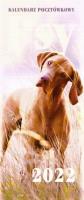 Opakowanie Kalendarz 2022 Pocztówkowy Psy ARTSEZON
