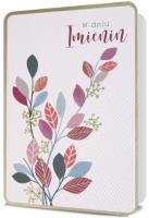 Opakowanie Karnet B6 Imieniny HM200-2179