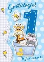 Opakowanie Karnet Roczek GM-345