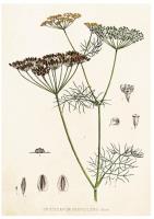 Opakowanie Karnet ST365 B6 + koperta Koper