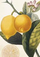 Opakowanie Karnet ST367 B6 + koperta Cytryna