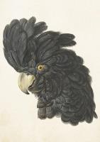 Opakowanie Karnet ST380 B6 + koperta Kakadu