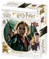 Opakowanie Magiczne puzzle 300 HP Pojedynek Hermiony