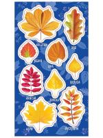 Opakowanie Naklejki Jesienne liście