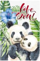 Opakowanie Notatnik ozdobny 105x165/64K kratka TW Panda