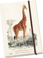 Opakowanie Notatnik ozdobny A5 STNOTE 71 Żyrafa