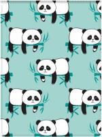 Opakowanie Okładka na dokumenty ucznia pion Panda, Biurfol