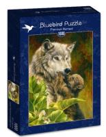 Opakowanie Puzzle 1000 Cenna chwila