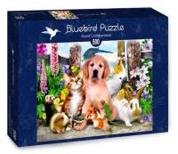 Opakowanie Puzzle 500 Dobrzy towarzysze