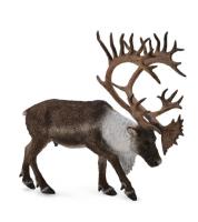 Okładka książki Renifer Woodland Caribou