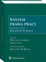 Okładka książki System prawa pracy T.14