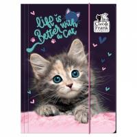 Opakowanie Teczka z gumką A4 Cleo i Frank 30 ( Kot) Derform