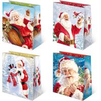 Opakowanie Torebki ozdobne BN T-8L set S-29 Mikołaj 10 sztuk