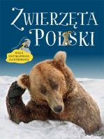 Zwierzęta Polski. Mała encyklopedia ilustrowana. Autor: Kruszewicz Andrzej G.. SmakLiter.pl Okładka książki Zwierzęta Polski. Mała encyklopedia ilustrowana