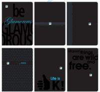 Opakowanie Brulion PT A4/64K kratka B&B (5szt)