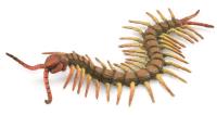 Centipede. Wydawca: Collecta. SmakLiter.pl Opakowanie Centipede