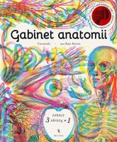 Gabinet anatomii w.2. Autor: Davies Kate, Carnovsky. SmakLiter.pl Okładka książki Gabinet anatomii w.2