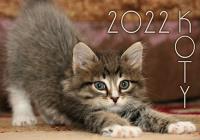 Kalendarz 2022 Koty KA2. Wydawca: AWM kalendarze. SmakLiter.pl Opakowanie Kalendarz 2022 Koty KA2
