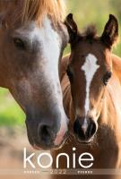 Opakowanie Kalendarz 2022 Wieloplanszowy Konie CRUX