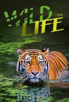 Opakowanie Kalendarz 2022 Wieloplanszowy Wilde Life CRUX