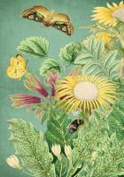 Opakowanie Karnet B6 brokat z kopertą Mniszek pospolity