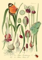 Opakowanie Karnet B6 brokat z kopertą Natura 2