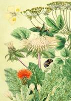 Opakowanie Karnet B6 brokat z kopertą Ogród