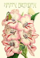 Opakowanie Karnet B6 brokat z kopertą Urodziny Mieczyki