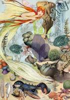 Opakowanie Karnet B6 brokat z kopertą Urodziny Morze