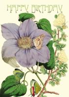 Opakowanie Karnet B6 brokat z kopertą Urodziny Powojnik