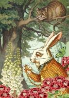 Opakowanie Karnet B6 z kopertą Alicja w krainie czarów