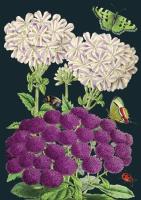 Opakowanie Karnet B6 z kopertą Fioletowe kwiaty