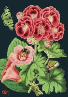 Opakowanie Karnet B6 z kopertą Różowa pelargonia