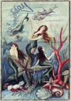 Opakowanie Karnet B6 z kopertą Urodziny Syreny