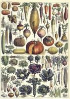 Opakowanie Karnet B6 z kopertą Warzywa