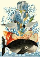 Opakowanie Karnet B6 z kopertą Wieloryb