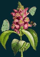 Opakowanie Karnet B6 z kopertą Wyżylin