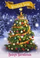 Okładka książki Karnet Boże Narodzenie AP-11