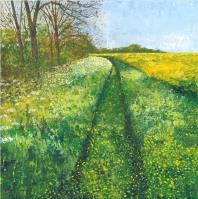 Opakowanie Karnet z kopertą Trybula leśna