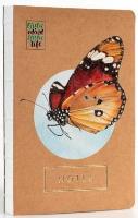 Opakowanie Notes Motyl