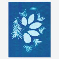 Papier słoneczny (cyjanotypia) 10 arkuszy 21,5 x 28 cm. Wydawca: Astromedia. SmakLiter.pl Opakowanie Papier słoneczny (cyjanotypia) 10 arkuszy 21,5 x 28 cm