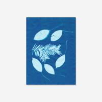 Papier słoneczny (cyjanotypia)  20 arkuszy 14 x 19cm. Wydawca: Astromedia. SmakLiter.pl Opakowanie Papier słoneczny (cyjanotypia)  20 arkuszy 14 x 19cm