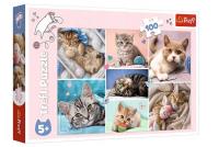 Opakowanie Puzzle 100 W kocim świecie 16420